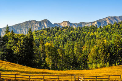 Scenic view of trees and mountains against sky