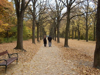 Rear view of man and woman walking on footpath amidst bare trees during autumn