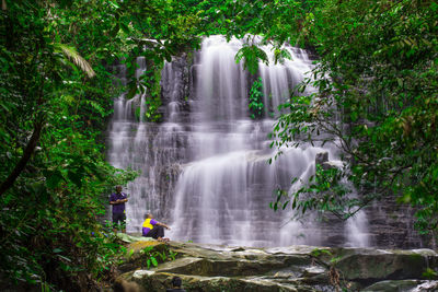 Scenic view of waterfall in forest