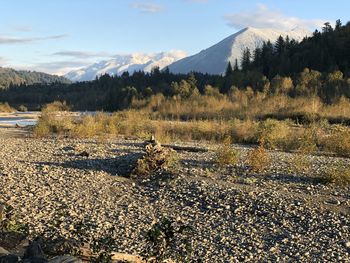 Scenic view of field against sky