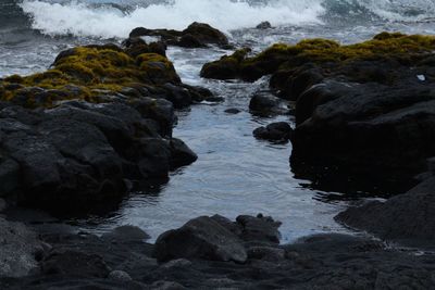 Wet rocks on beach against sky