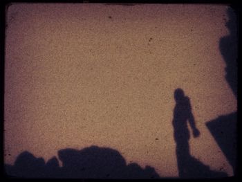 Low angle view of silhouette man standing on tree trunk