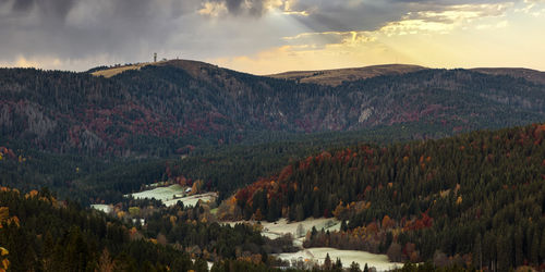 View over the bärental to the feldberg summit in autumn in the black forest, germany