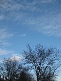 Low angle view of bare tree against sky