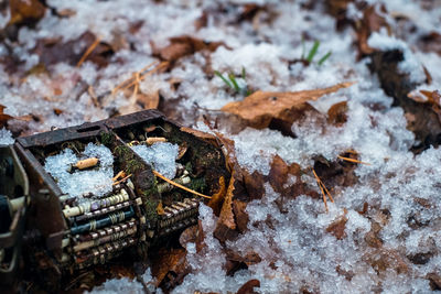 Old tv tuner channel selector with moss and snow in the forest
