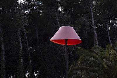 Red umbrella and trees in forest at night