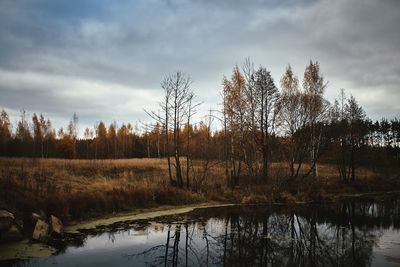 Reflection of bare trees in lake against sky