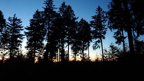 Low angle view of silhouette trees against sky at sunset