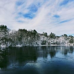 Frozen lake by trees against sky during winter