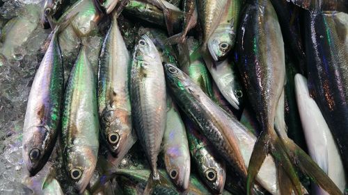 High angle view of fish for sale in market