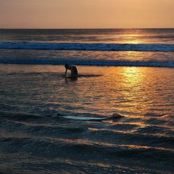 Scenic view of sea at sunset