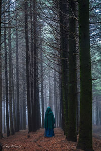Rear view of woman amidst trees in forest