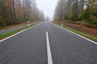 Surface level of road amidst trees