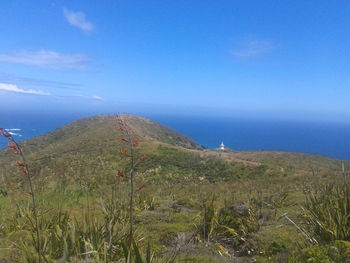 Scenic view of landscape against blue sky