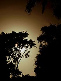 Low angle view of silhouette trees against sky at sunset