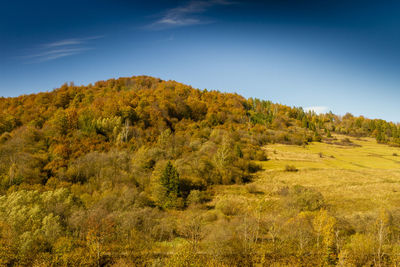 Trees on field against sky during autumn