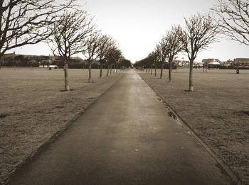 Empty road along trees