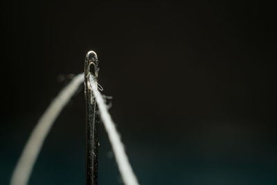 Close-up of thread in needle