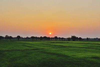 Scenic view of grassy field against sky during sunset