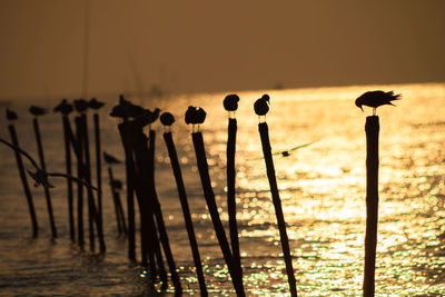 Close-up of silhouette wooden post against sky during sunset