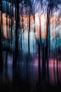 Close-up of reflection of trees in water