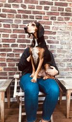 Woman with dog sitting on chair against brick wall