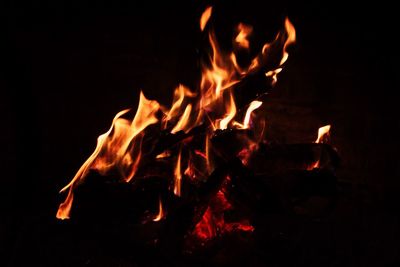Close-up of fire at night