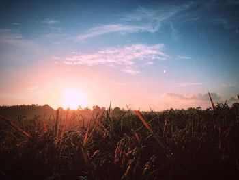 Scenic view of landscape against sky at sunset