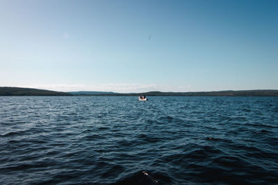Person swimming in sea against clear sky