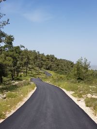 Road amidst trees against sky