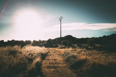 Empty walkway amidst grass on field against sky