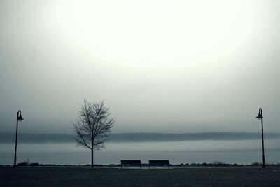 Silhouette street by tree against sky