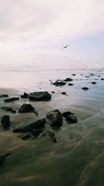 Scenic view of sea against sky at sunset