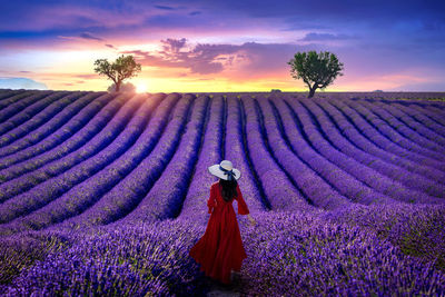 Rear view of woman standing on field against sky