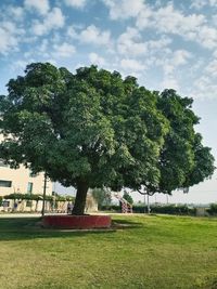 Trees in park against sky