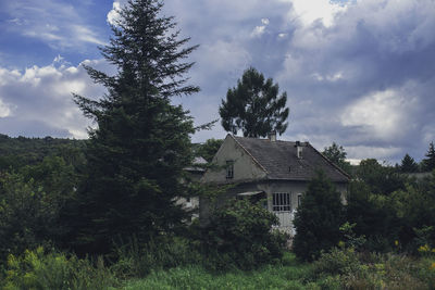 House with trees in background