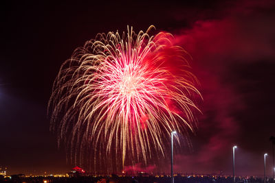 Low angle view of firework display at night