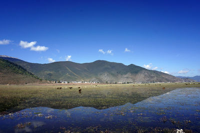 Scenic view of landscape and mountains against blue sky