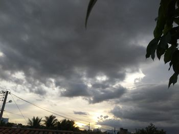 Low angle view of silhouette trees against sky