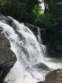 Scenic view of waterfall in forest