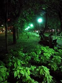 People in illuminated park at night