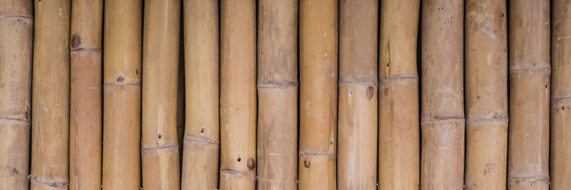 Detail shot of bamboo