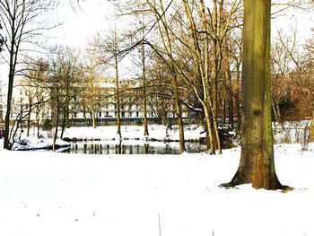 Bare trees on snow covered field against sky