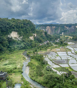 High angle view of trees on landscape against sky