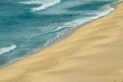 Scenic view of beach