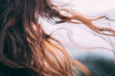 Cropped image of woman with tousled hair