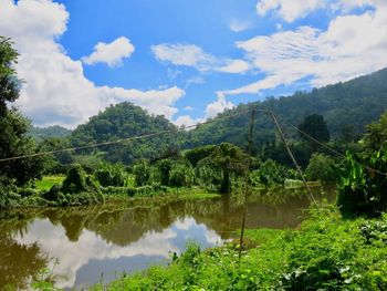 Scenic view of lake by trees against sky