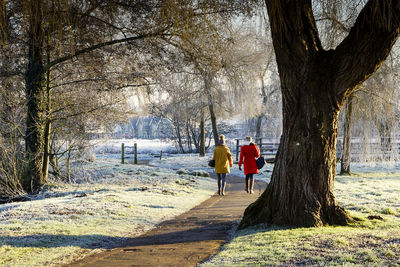 Rear view of women walking on pathway amidst trees at park