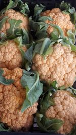 Full frame shot of vegetables