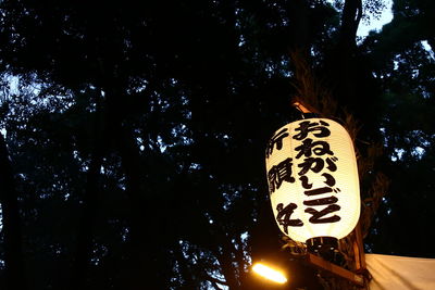 Low angle view of tree against clear sky